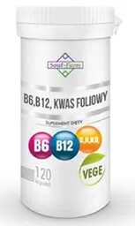 Witamina b6 + b12 + kwas foliowy 120