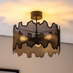 Luminex Lampa sufitowa Wesley ze specjalnym kloszem
