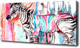Foto obraz na płótnie Kolorowa zebra