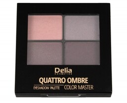 Delia Cosmetics Color Master Cienie do powiek Quattro