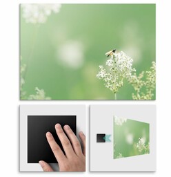 Plakat metalowy kwiat M