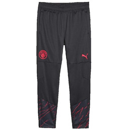 Spodnie dresowe Manchester City Puma