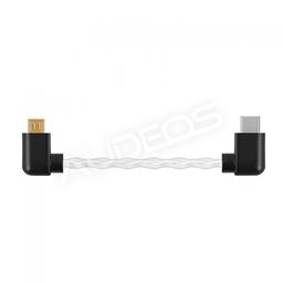 Shanling L2 - USB C - micro USB