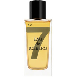 Eau de Iceberg Amber Pour Homme woda toaletowa