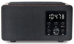 Radiobudzik MANTA RDI910WC