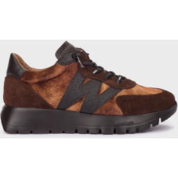 BUTY TREND I TESTA - KASZTANOWY