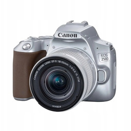 Zestaw Canon 250D 18-55 Is Stm srebrny
