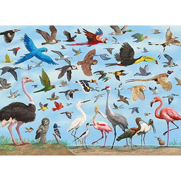 All the Birds 1,000 Piece Jigsaw Puzzle