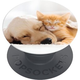 POPSOCKETS Uchwyt i podstawka Basic do telefonu (Cat