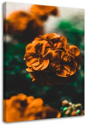 Obraz, Pomarańczowe kwiaty 40x60