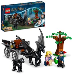 LEGO 76400 Harry Potter, Testrale i Kareta