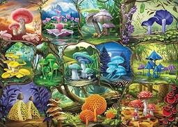 Ravensburger 12000424 - Piekne grzyby - puzzle 1000