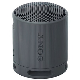 Sony SRS-XB100 Czarny