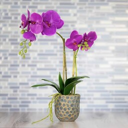 QUI-LO Wieloletnie ogrody, sztuczne kwiaty orchidei, sztuczna orchidea,