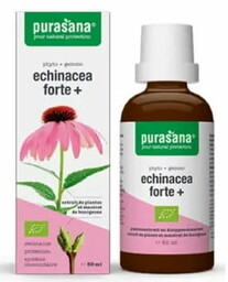 Echinacea forte (jeżówka purpurowa) krople BIO 50 ml