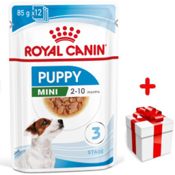 ROYAL CANIN Mini Puppy 12x85g karma mokra