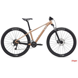 Giant Rower Liv Tempt 3 29