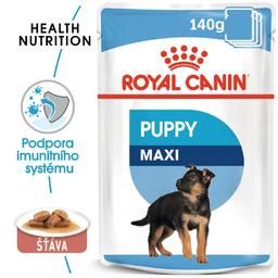 Royal Canin Maxi Puppy - kapsička pro velká