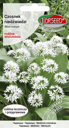 Czosnek niedźwiedzi Allium ursinum 0,5g