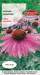 Jeżówka purpurowa Echinacea purpurea 0,2g