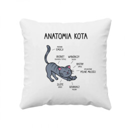 Anatomia kota - poduszka na prezent