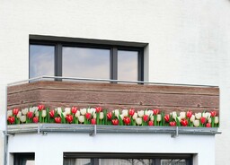 Maximex Osłona na balkon w tulipany, 5 m