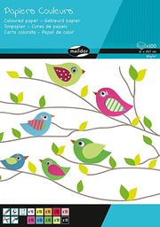 Clairefontaine 26501C  Blok 100 arkuszy papieru kolorowego