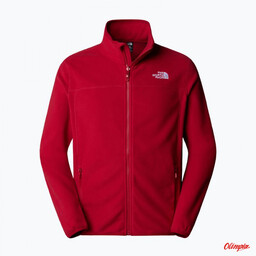 The North Face Polar 100 Glacier Full Zip
