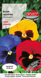 Bratek wielkokwiatowy - Viola wittrockiana mieszanka 0,5g
