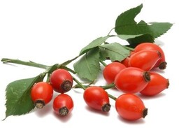 EQUIHERBS Dzika róża 1 kg