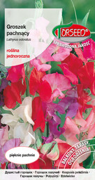 Groszek pachnący - Lathyrus odoratus mieszanka 4g