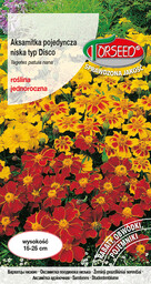 Aksamitka pojedyncza niska typ Disco - Tagetes patula