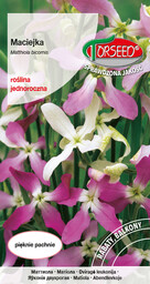 Maciejka - Matthiola bicornis różowa 3g