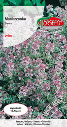 Macierzanka piaskowa - Thymus serphyllum purpurowa 0,3g