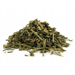 RUTA zwyczajna ZIELE ruty 1 kg - Aromatika