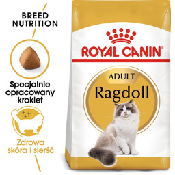 ROYAL CANIN Ragdoll adult 10 kg karma sucha