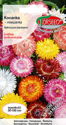 Kocanka - Helichrysum bract.-monstr. mieszanka 2g