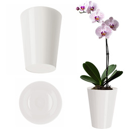 Doniczka na storczyka Cerda 13 cm, biała