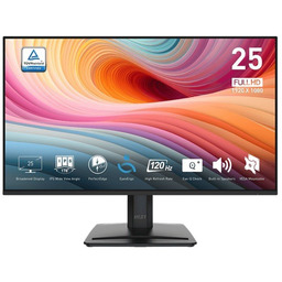 MSI Monitor PRO MP251 E2 24.5 cala LED/FHD/Flat/120Hz/Black