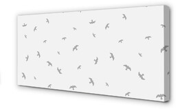 Obraz na płótnie Szare ptaki