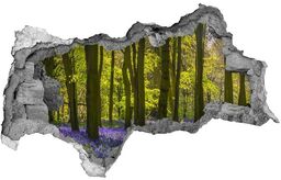 naklejka fototapeta 3D widok Las wiosną