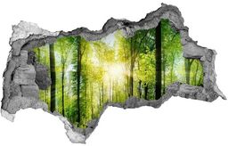 naklejka fototapeta 3D widok Las w słońcu