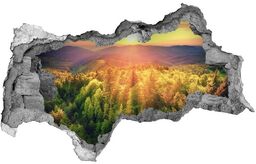 naklejka fototapeta 3D Las zachód słońca