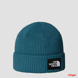 The North Face Czapka zimowa Salty Lined Beanie