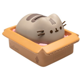 Skarbonka Pusheen - Package