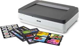Epson Expression 13000XL Pro - skaner płaski -
