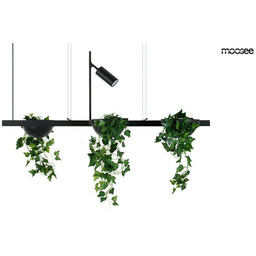 MOOSEE lampa wisząca PLANT LINE czarna