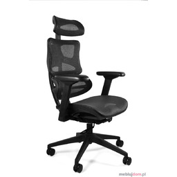 Fotel ergonomiczny ERGOTECH Unique Czarny, Nylonowa