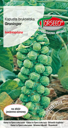 Kapusta brukselska Groninger 2g
