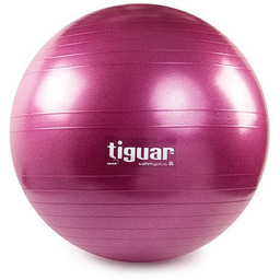 Piłka Fitness safety plus Tiguar średnica 65cm